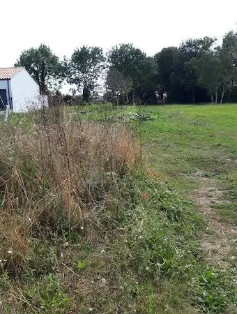 Terrain 754 m²