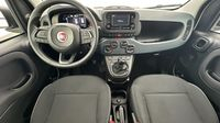 Fiat Panda Pandina 1.0 65ch BSG S&S Hybrid Icône (Step1) — photo 8