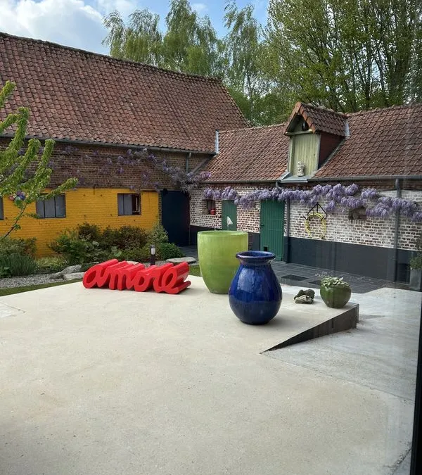 Photo 7