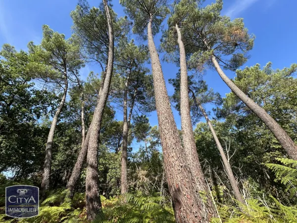 Terrain à bâtir Vente Eyraud-Crempse-Maurens   40000€
