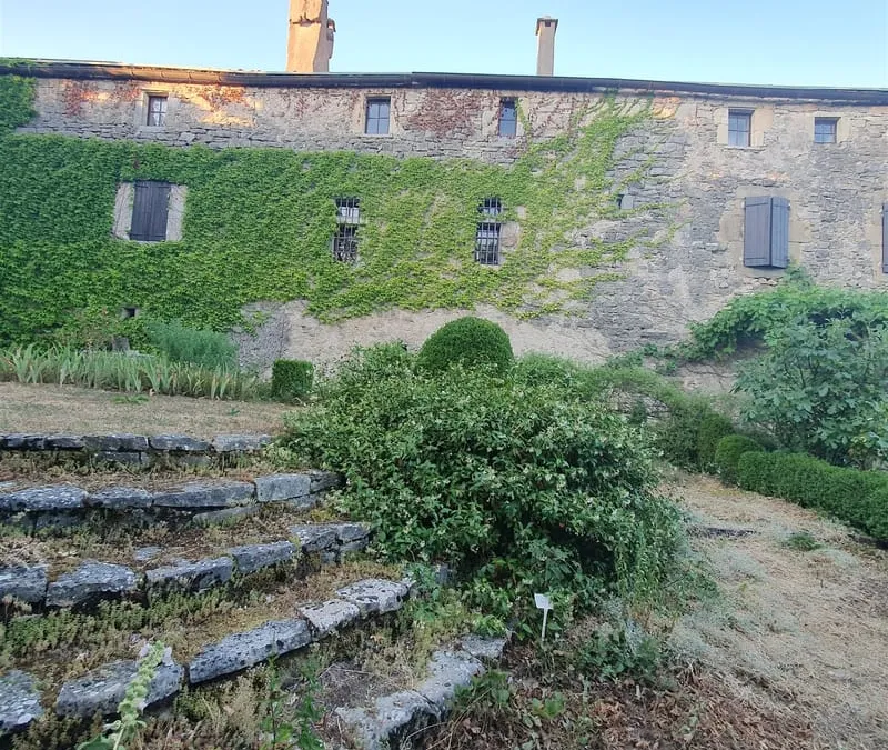 Photo 8