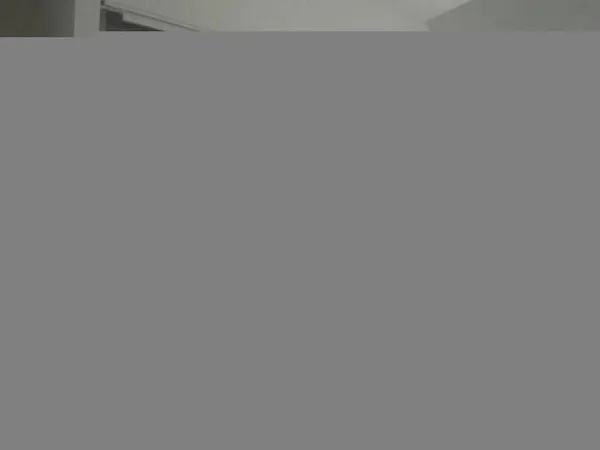 Studio 1 pièce 24 m²