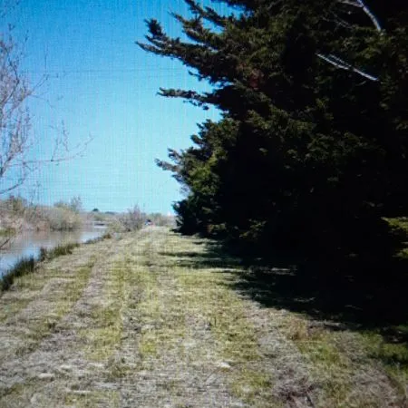 Location terrain loisirs Bois de Cené