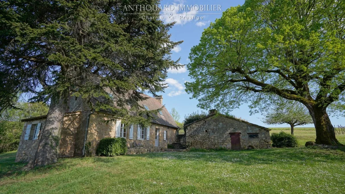 Photo 47