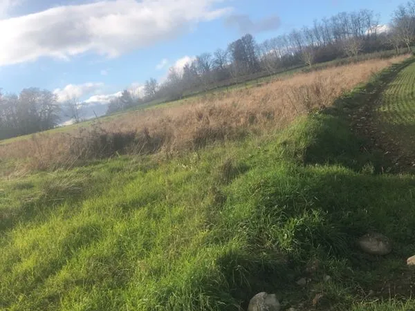 Terrain agricole