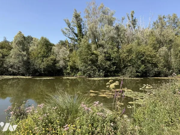 Terrain 23842 m²