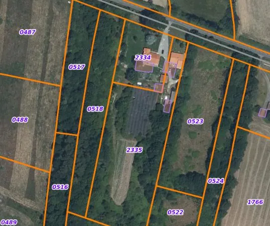 Terrain a vendre (taillis)
