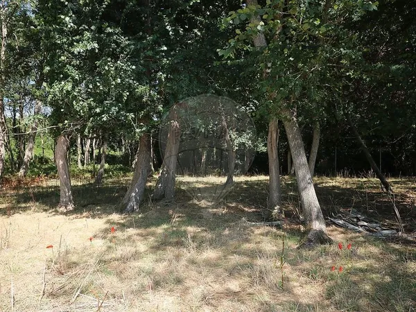 Terrain à vendre