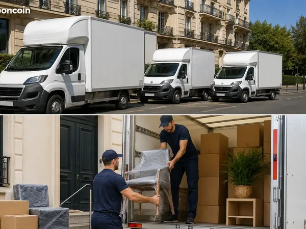 à vendre - société de transport & déménagement - paris / île-de-france