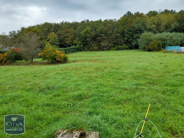 Terrain à bâtir Vente Le Blanc  4500m² 42750€