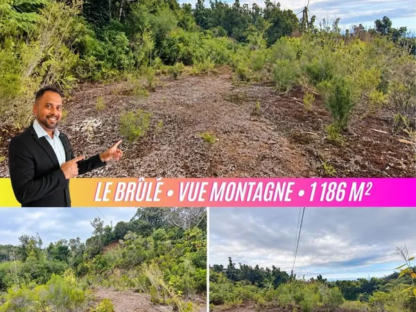 Terrain 1186 m² Saint-Denis