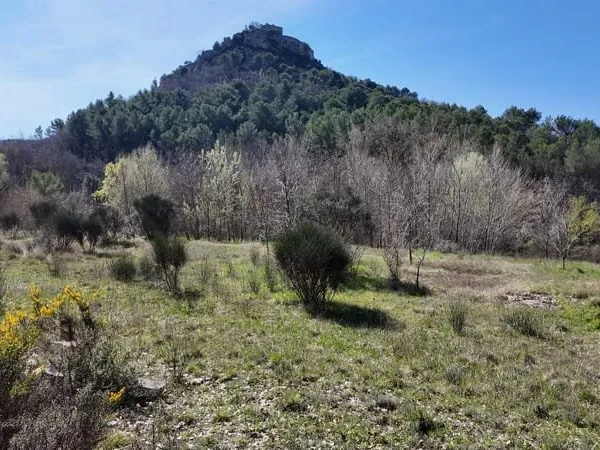 Terrain constructible