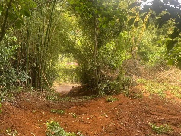 Terrain à louer