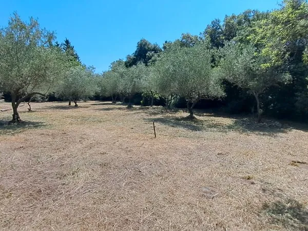Terrain 1000m2