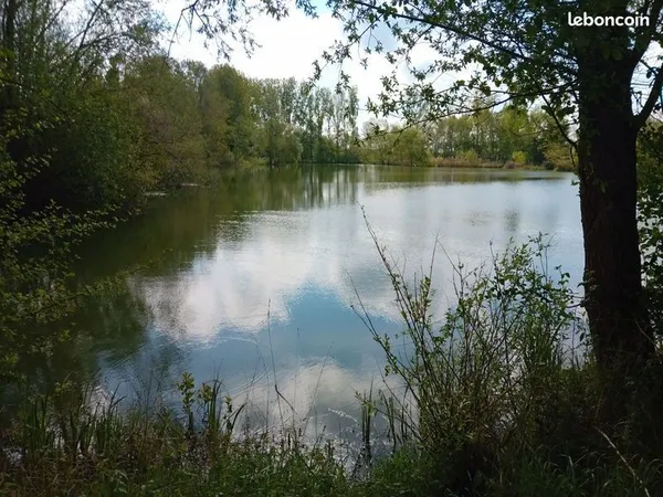 Pêcheur de carpe recherche lac étang gravier lac