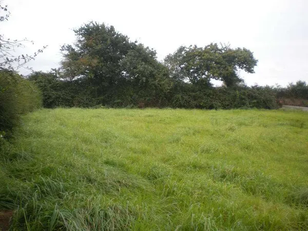 Terrain 481 m²
