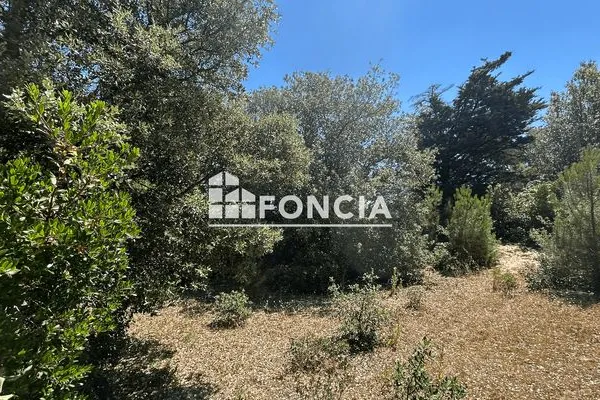 Terrain 320 m²