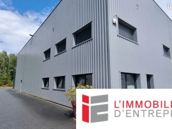 Local d'activité 2 619 m²