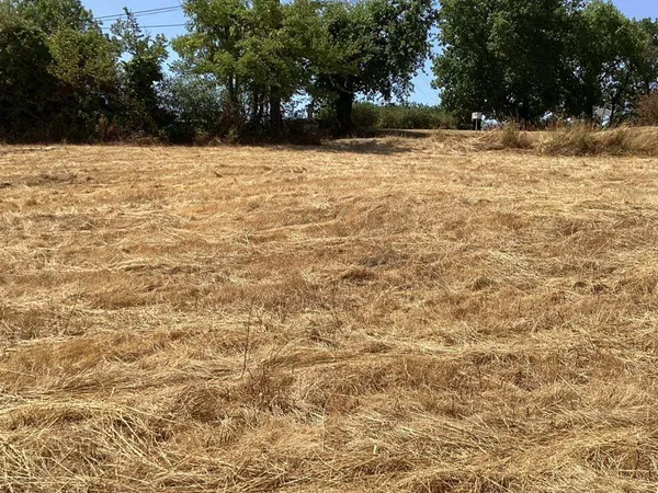 Terrain à bâtir