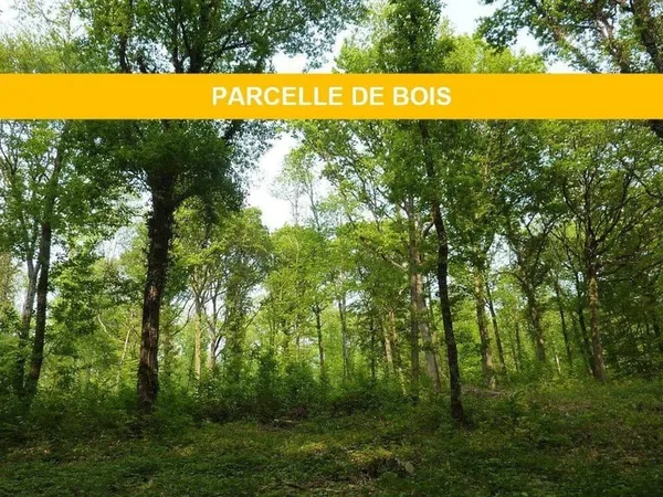 Terrain 4502 m²
