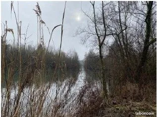 Très bel étang de 52 ha avec maison de gardien à vendre, proximité de Soissons