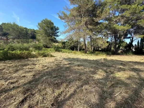 Terrain 4996 m²