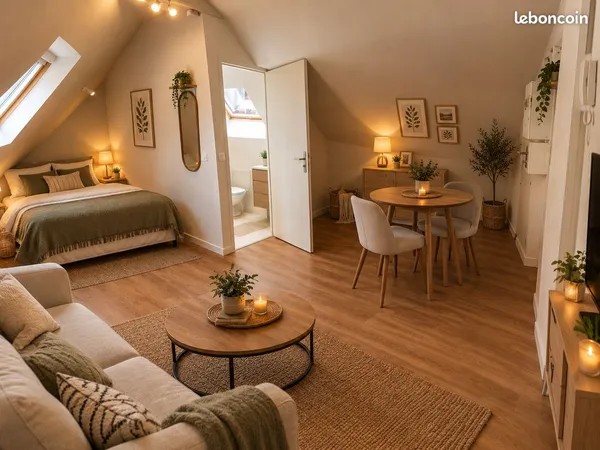 Studio 25 m²