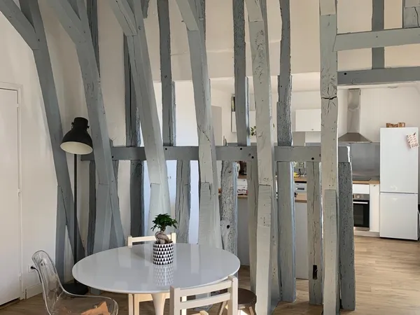 Vends appartement 62m² beau T3 en duplex hyper centre