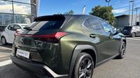 Lexus Ux 250h Luxe 2WD — photo 5