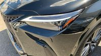 Lexus Nx 450h+ Executive 4WD MY25 — photo 17