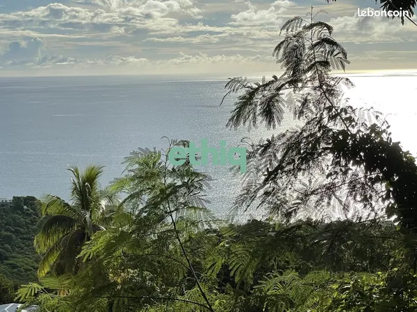 Terrain 20273 m² Bouillante