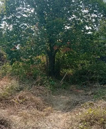 Terrain de 1520m2 constructible