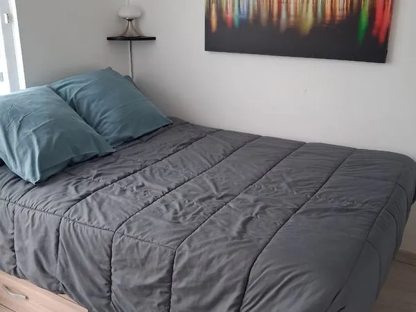 Chambre à louer dans collocation
