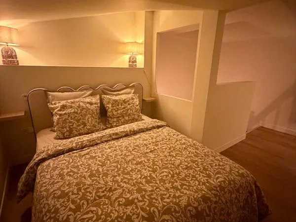 T3 DUPLEX NEUF MEUBLÉ - 60 m² - CENTRE-VILLE D'AGEN