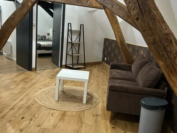 Studio et appartement centre vichy