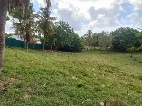 Terrain constructible à vendre DAMPIERRE LE GOSIER (971)
