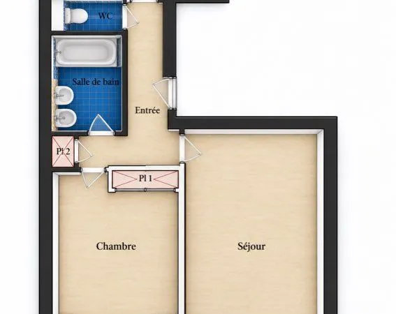 Appartement vide de 49,24 m² (loi Carrez) - Traversant - Remis à NEUF - Garage et cave