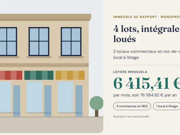 IMMEUBLE DE RAPPORT À VENDRE - SAINT-PIERRE (97410)