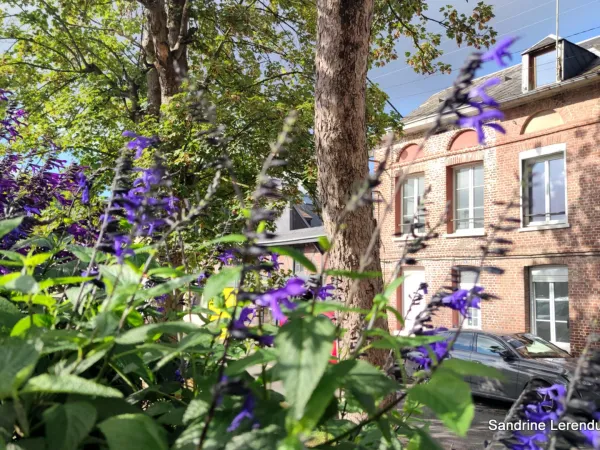 DARNÉTAL - MAISON DE VILLE RESTAURÉE AVEC COUR - PROCHE ROUEN ET CHU