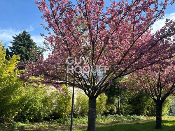 Appartement Montreuil 4 pièce(s) 80 m2