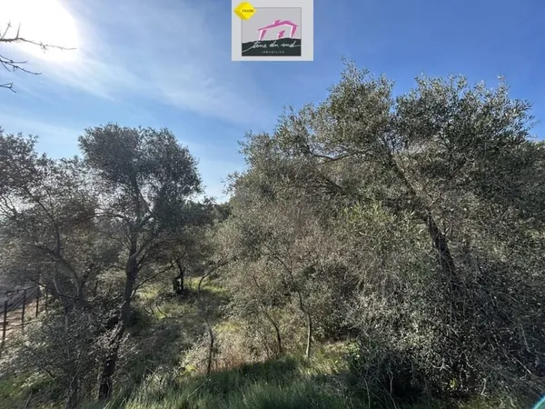Terrain 1300 m²