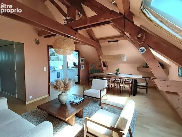 Grand appartement t3 de charme en duplex + garage