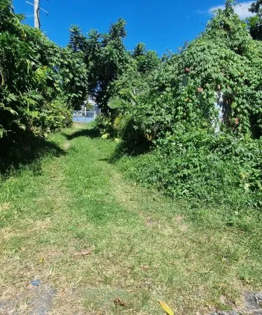 Terrain 626 m²