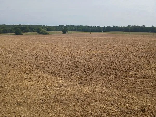 À vendre 8,25 hectares de terres agricoles de qualité avec potentiel constructible