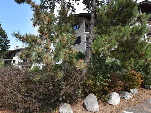 CHARMANT APPARTEMENT ENTIEREMENT RENOVE VEIGY-FONCENEX
