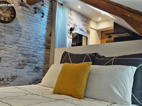 Studio rénové entièrement en 2021 - meubles inclus