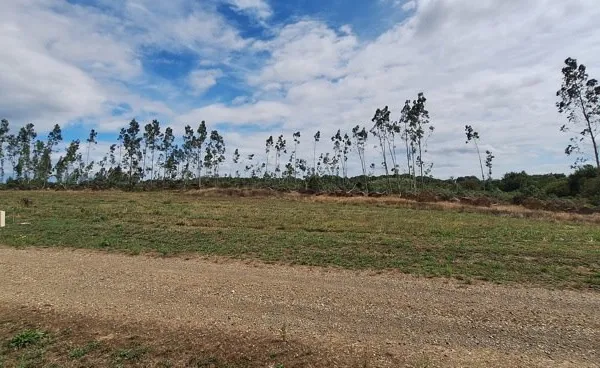 Terrain 1030 m²