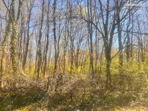 Terrain 72755 m² SAINT ETIENNE DE TULMONT