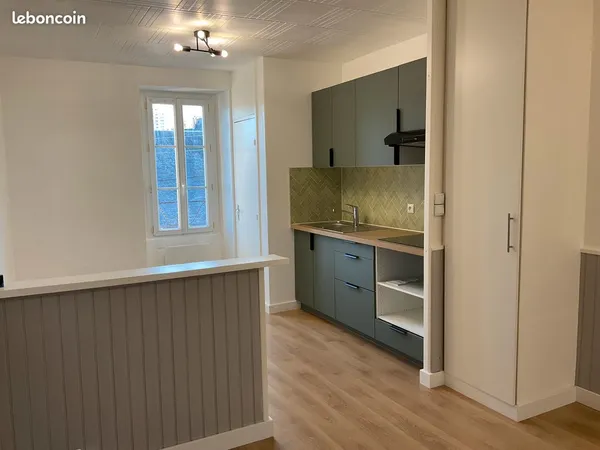 T3 en duplex (60 m2 au sol) proche hypercentre, rénové