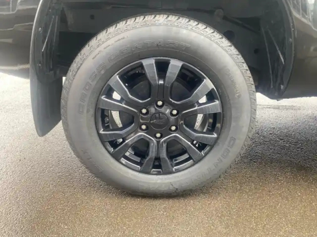 Ford Ranger pick-up 2.0 tdci 213ch super cab wildtrak bva10 — photo 20